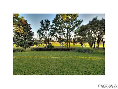 1356 W Double Eagle Ct, Hernando, FL 34442 photo 21