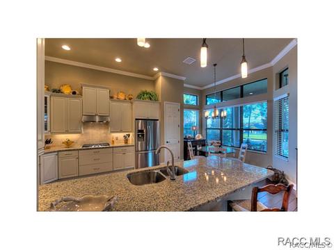 1356 W Double Eagle Ct, Hernando, FL 34442 photo 9