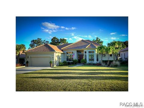 1356 W Double Eagle Ct, Hernando, FL 34442 photo 1