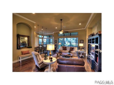 1356 W Double Eagle Ct, Hernando, FL 34442 photo 2