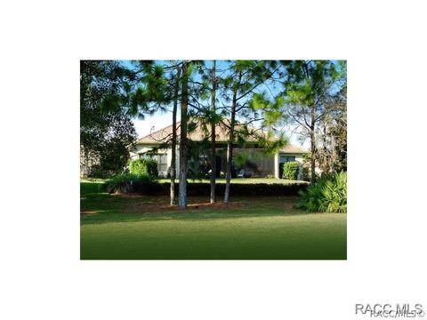 1356 W Double Eagle Ct, Hernando, FL 34442 photo 20