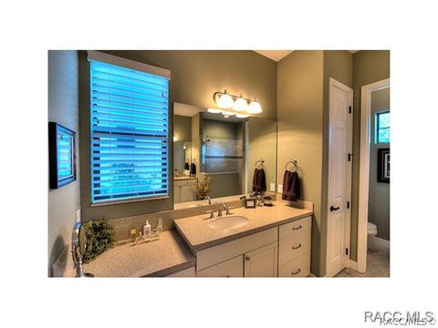 1356 W Double Eagle Ct, Hernando, FL 34442 photo 15