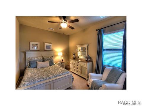 1356 W Double Eagle Ct, Hernando, FL 34442 photo 12