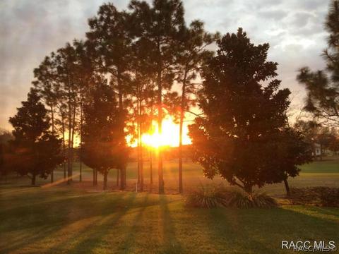 1356 W Double Eagle Ct, Hernando, FL 34442 photo 22