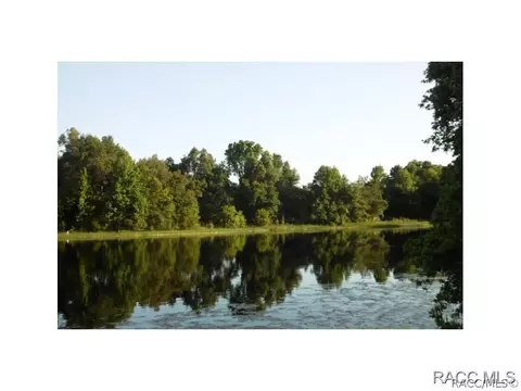 8500 E Settle Ct, Inverness, FL 34450 photo 2