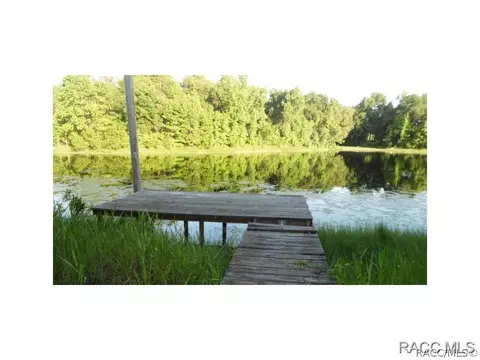 8500 E Settle Ct, Inverness, FL 34450 photo 3