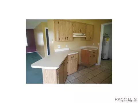3753 E Delight St, Hernando, FL 34442 photo 8