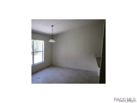 5121 Roble Ave, Spring Hill, FL 34608 photo 5