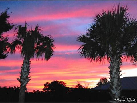 6298 N Finger Pt, Hernando, FL 34442 photo 36