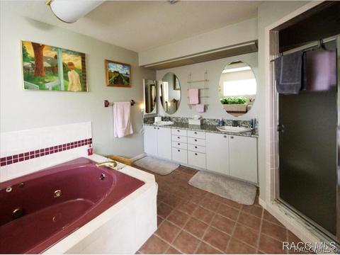 6298 N Finger Pt, Hernando, FL 34442 photo 26