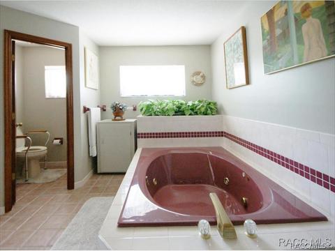 6298 N Finger Pt, Hernando, FL 34442 photo 25