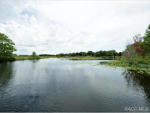 6298 N Finger Pt, Hernando, FL 34442 photo 35