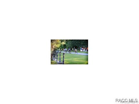 1734 W Redding St, Hernando, FL 34442 photo 32
