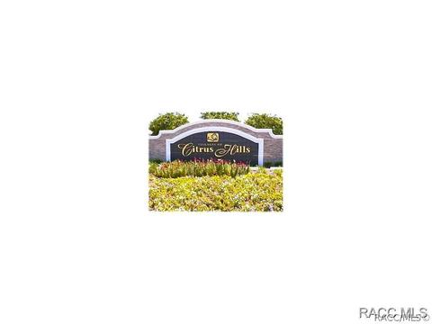 1734 W Redding St, Hernando, FL 34442 photo 24