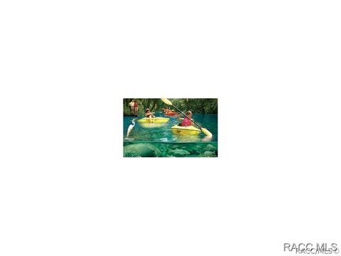 1734 W Redding St, Hernando, FL 34442 photo 35