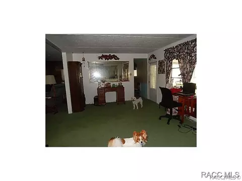 3500 Eagle Trl, Hernando, FL 34442 photo 10