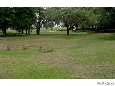 692 Doerr Path, Hernando, FL 34442 photo 2