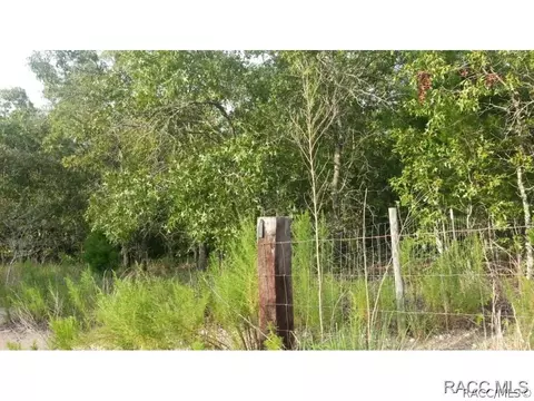 6821 S Bradly Pt, Lecanto, FL 34461 photo 2