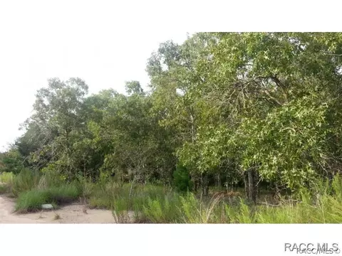 6821 S Bradly Pt, Lecanto, FL 34461 photo 3