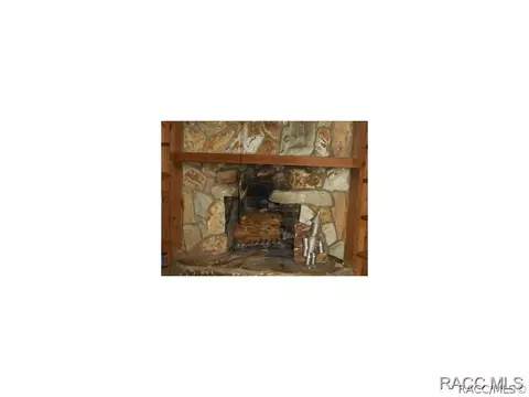 8391 N Tee Lake Pt, Hernando, FL 34442 photo 5