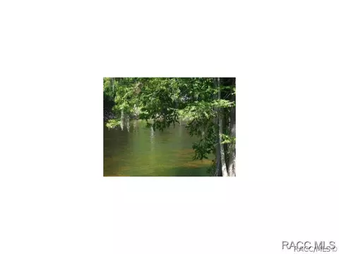 8391 N Tee Lake Pt, Hernando, FL 34442 photo 2