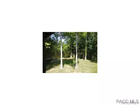 8391 N Tee Lake Pt, Hernando, FL 34442 photo 19