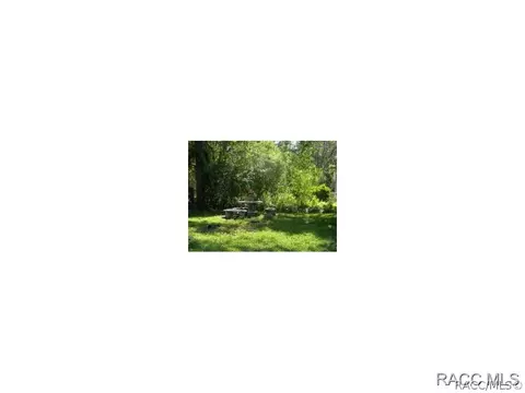 601 W Keller St, Hernando, FL 34442 photo 9