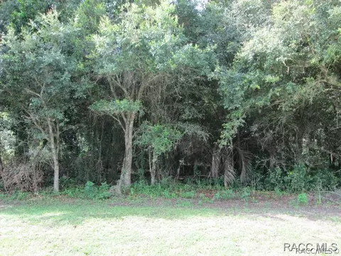 6080 E Peach St, Inverness, FL 34452 photo 1