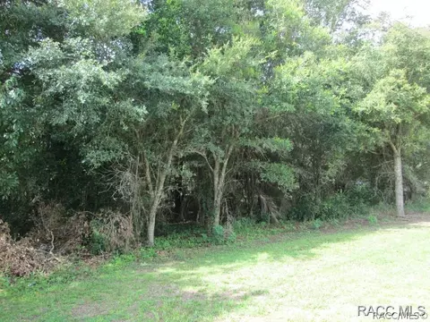 6080 E Peach St, Inverness, FL 34452 photo 2