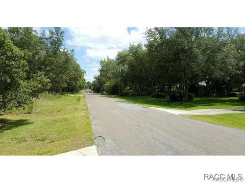 422 N Grandview Ave, Hernando, FL 34442 photo 24