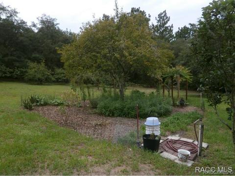 1900 W Redding St, Hernando, FL 34442 photo 26