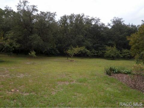 1900 W Redding St, Hernando, FL 34442 photo 25