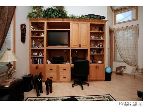 491 E Ireland Ct, Hernando, FL 34442 photo 21