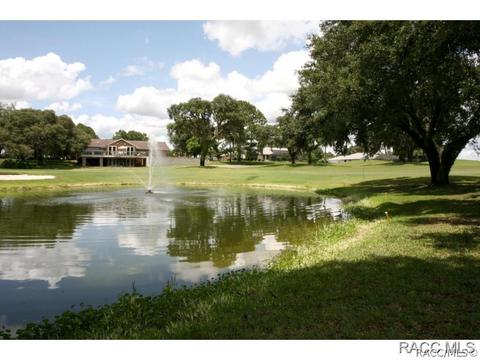 491 E Ireland Ct, Hernando, FL 34442 photo 3