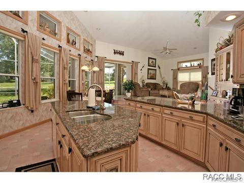 491 E Ireland Ct, Hernando, FL 34442 photo 11