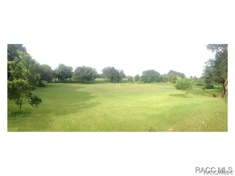 6625 N Heidi Dr, Hernando, FL 34442 photo 2