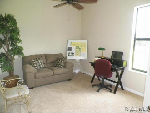 294 W Climbing Ivy Ct, Hernando, FL 34442 photo 17