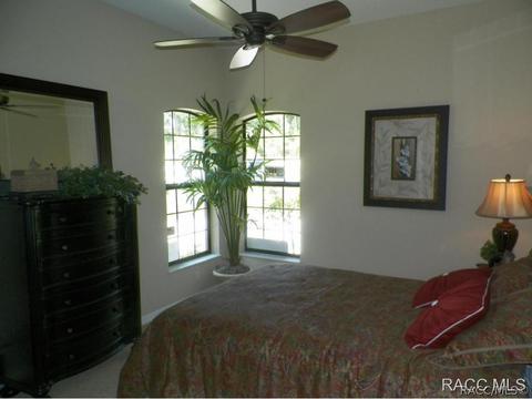 294 W Climbing Ivy Ct, Hernando, FL 34442 photo 16
