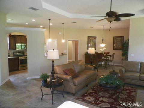 294 W Climbing Ivy Ct, Hernando, FL 34442 photo 3