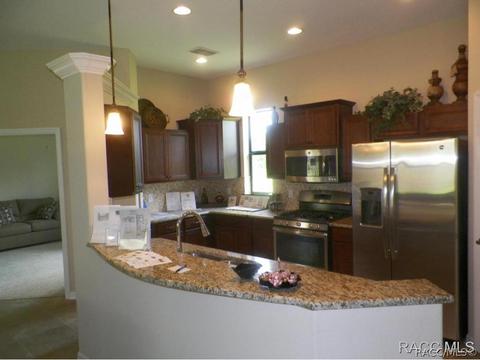 294 W Climbing Ivy Ct, Hernando, FL 34442 photo 4