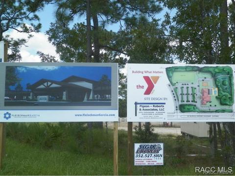294 W Climbing Ivy Ct, Hernando, FL 34442 photo 25