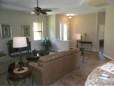 294 W Climbing Ivy Ct, Hernando, FL 34442 photo 10