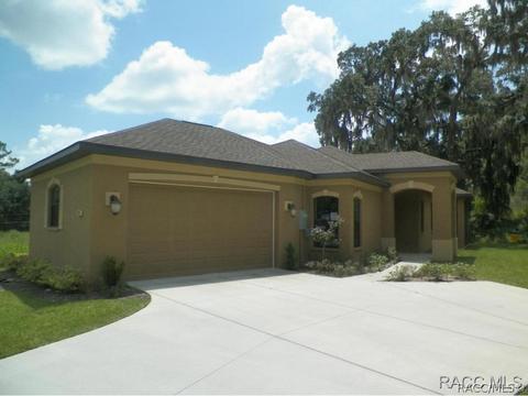 294 W Climbing Ivy Ct, Hernando, FL 34442 photo 1