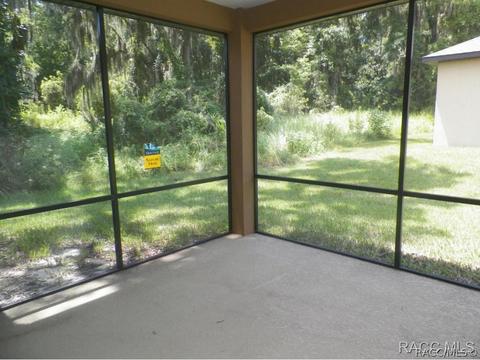 294 W Climbing Ivy Ct, Hernando, FL 34442 photo 19