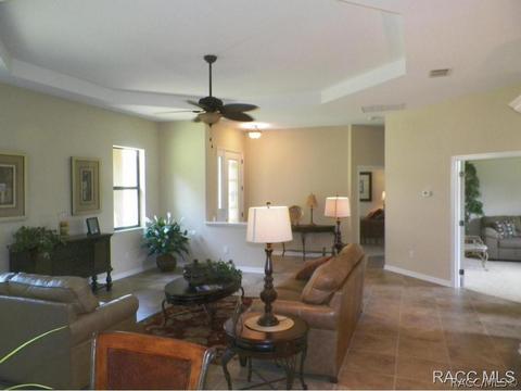 294 W Climbing Ivy Ct, Hernando, FL 34442 photo 11