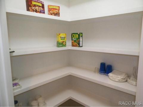 294 W Climbing Ivy Ct, Hernando, FL 34442 photo 8