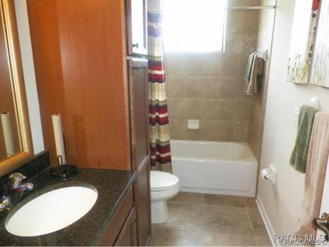 294 W Climbing Ivy Ct, Hernando, FL 34442 photo 18