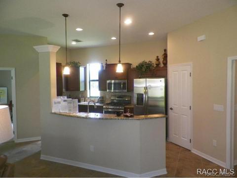 294 W Climbing Ivy Ct, Hernando, FL 34442 photo 6