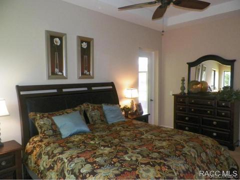 294 W Climbing Ivy Ct, Hernando, FL 34442 photo 13