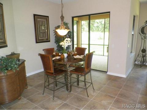 294 W Climbing Ivy Ct, Hernando, FL 34442 photo 9